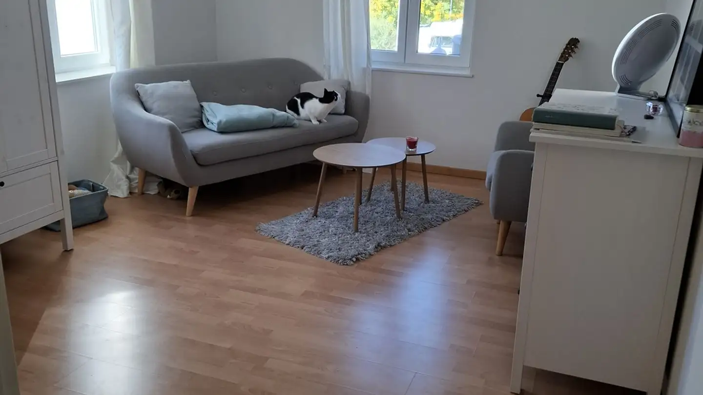 Wohnung mieten - 8483 Kollbrunn