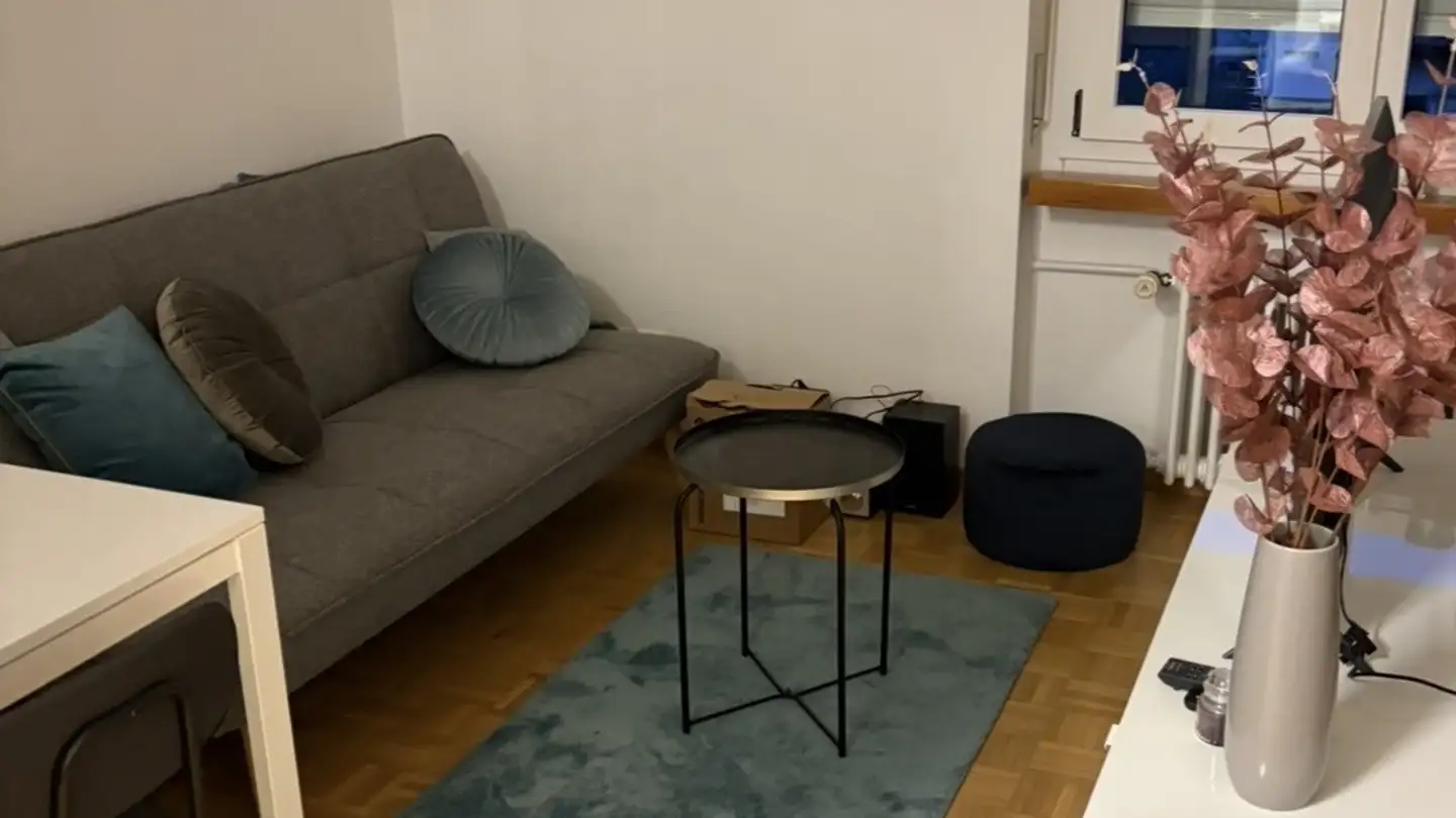 Wohnung mieten - Im Geissacker 40, 8404 Winterthur - Foto 2