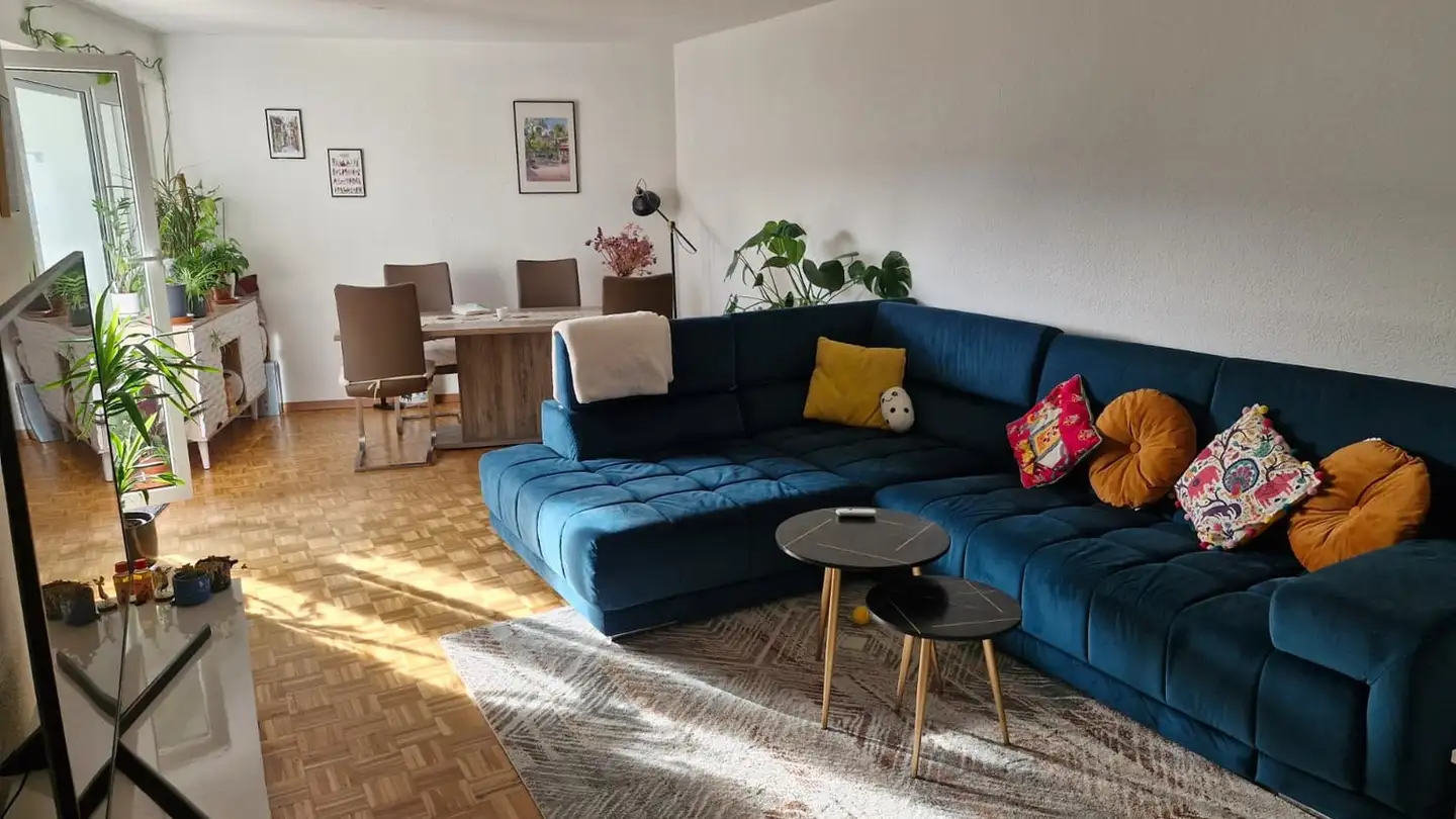 Appartement à louer - Alte Landstrasse 127, 8800 Thalwil