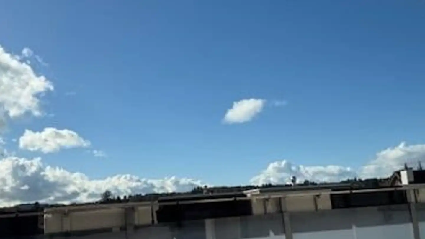 Duplex for sale - Aettigüpfstrasse 13, 5621 Zufikon