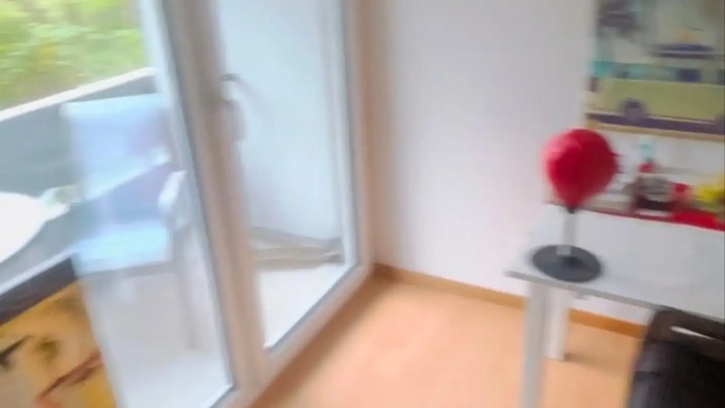 Appartamento in affitto - Dachslernstrasse 91, 8048 Zürich - Photo 3