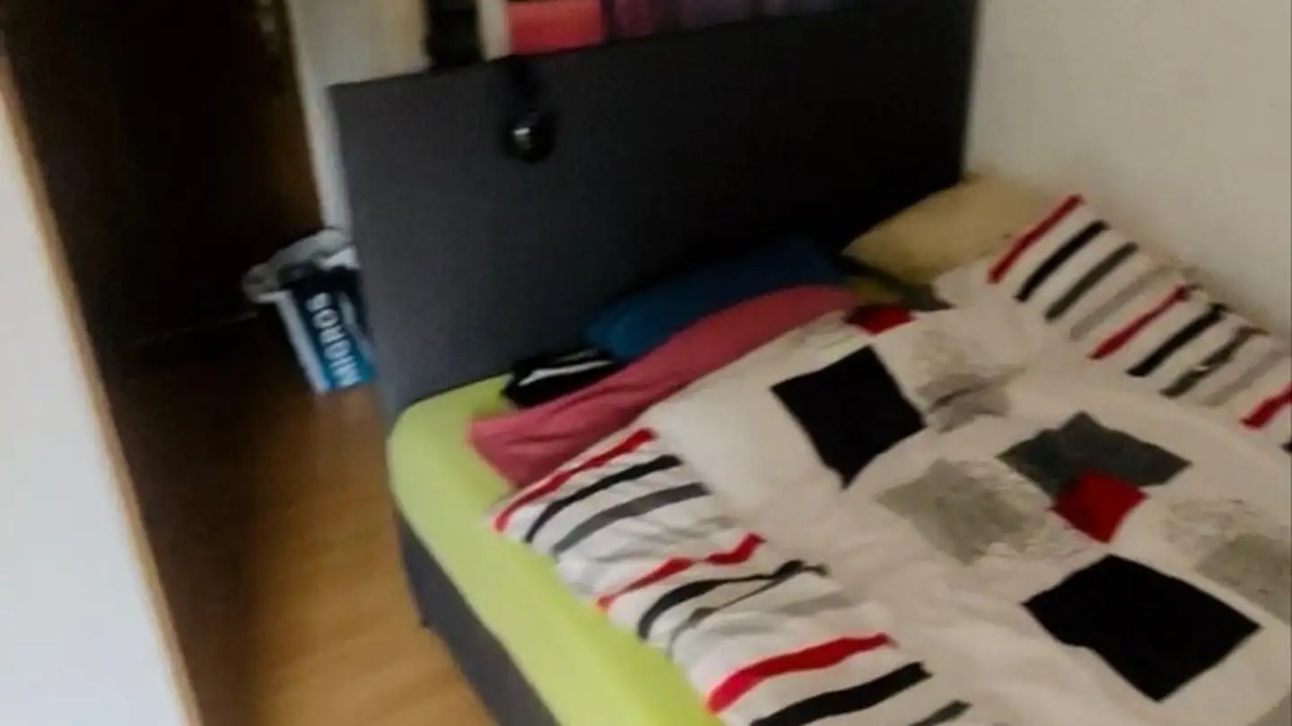 Appartamento in affitto - Dachslernstrasse 91, 8048 Zürich - Photo 4