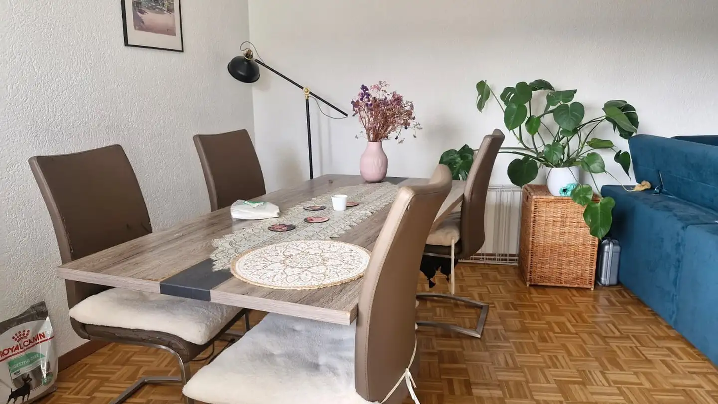 Appartamento in affitto - Alte Landstrasse 127, 8800 Thalwil - Photo 4