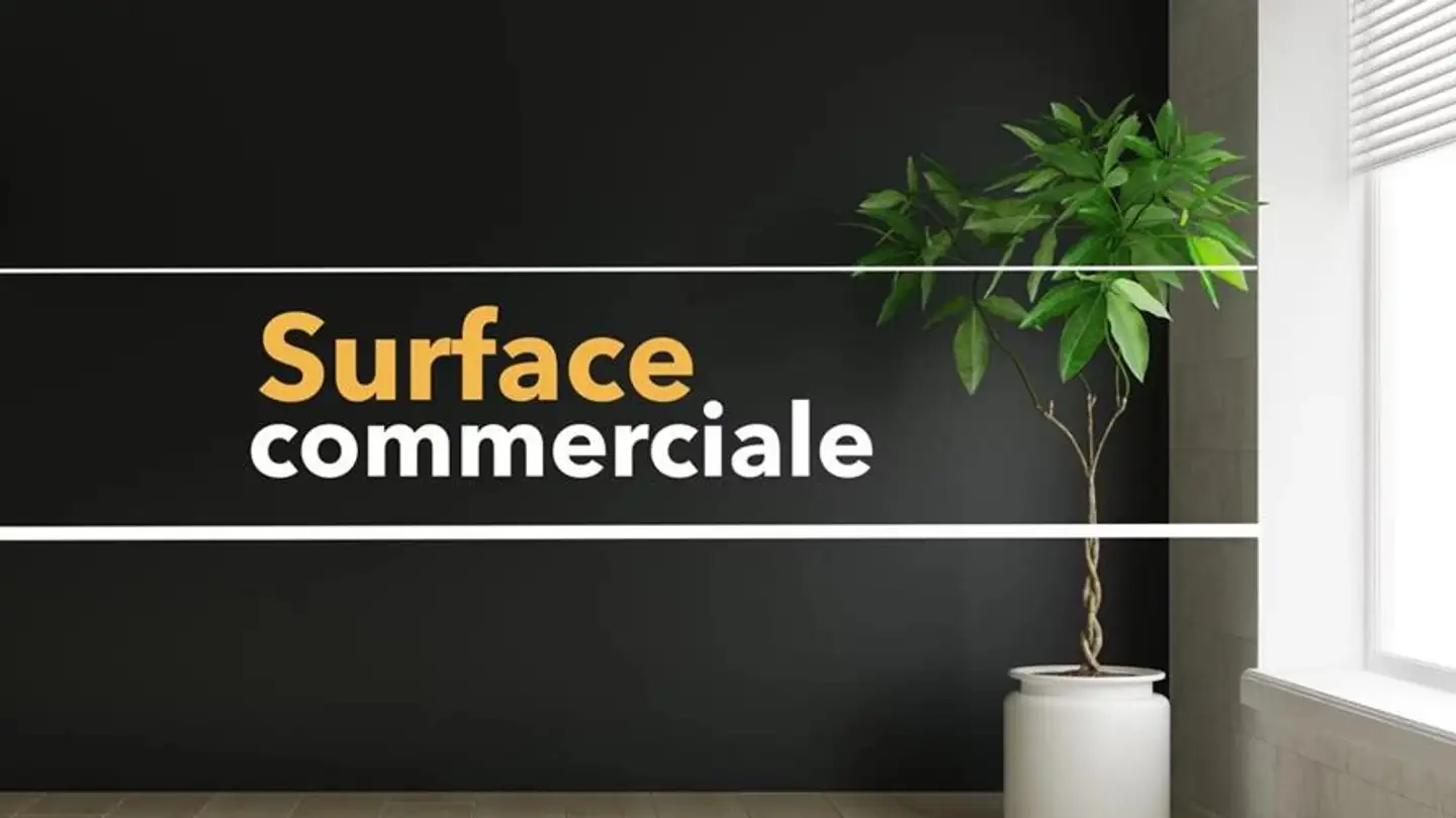 Edificio ad uso misto in affitto - 3960 Sierre