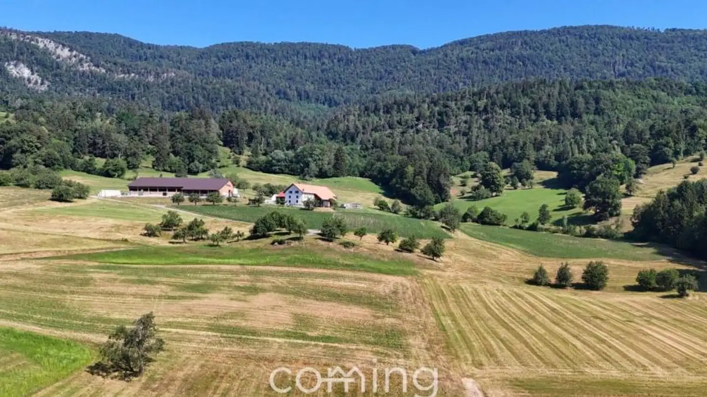 Terreno edificabile in vendita - 4714 Aedermannsdorf - Foto 4