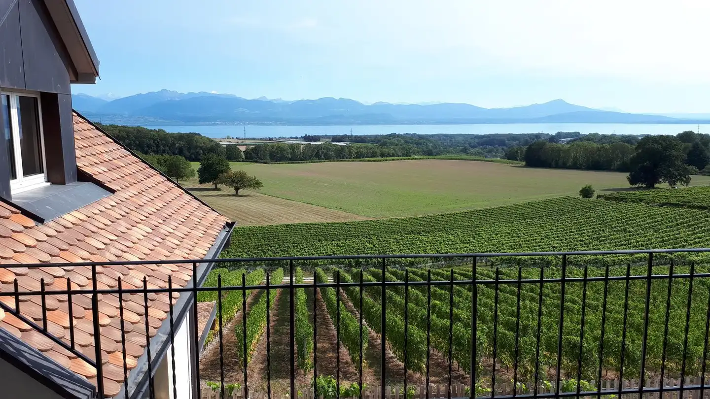Appartamento in affitto - Rue de l'Eglise 10, 1175 Lavigny - Foto 3