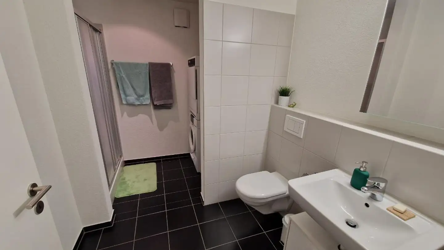 Appartement meublé à louer - Katzenbachstrasse 223, 8052 Zürich - Photo 4