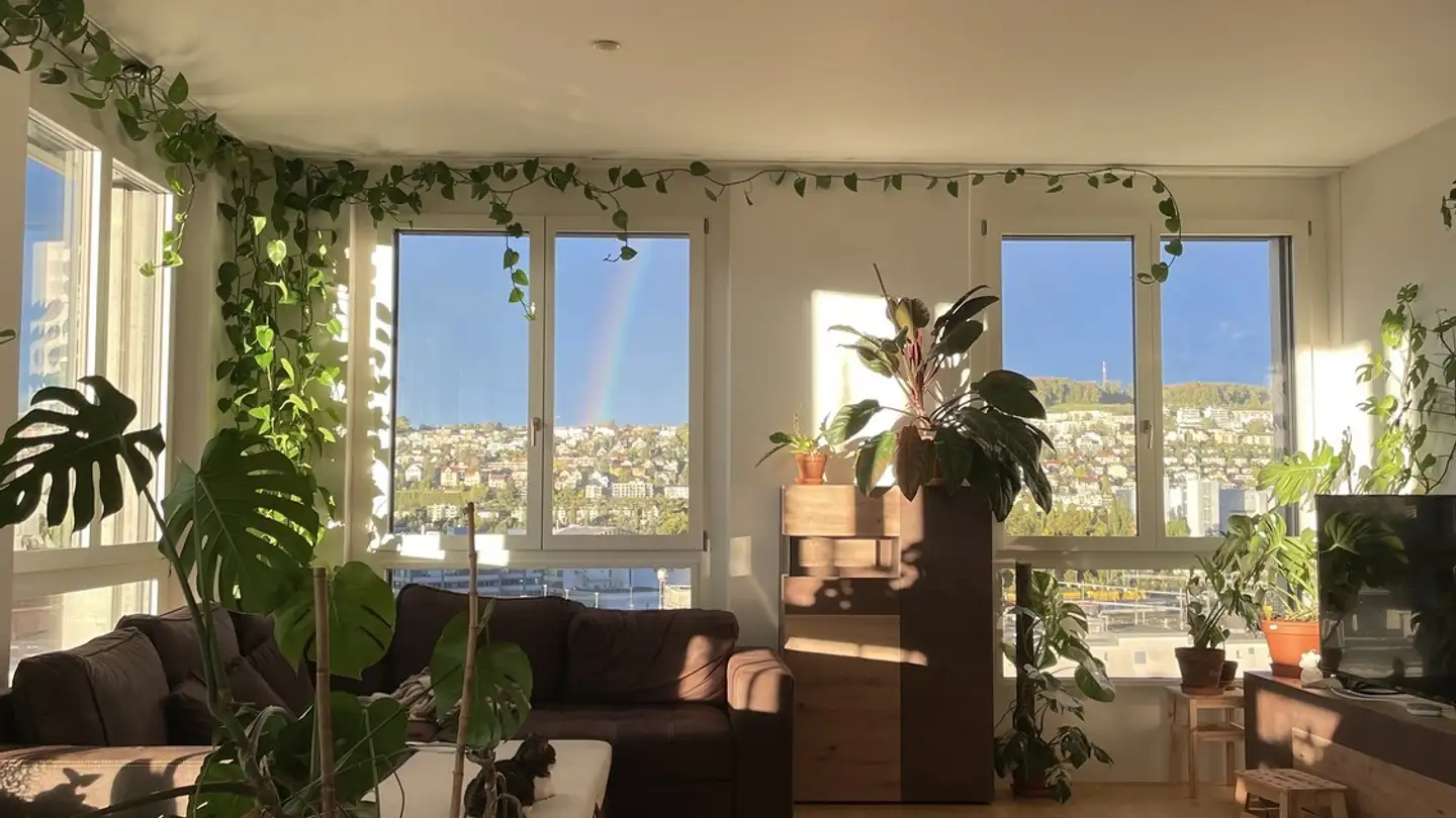 Stanza singola in affitto - 8048 Zürich - Foto 2