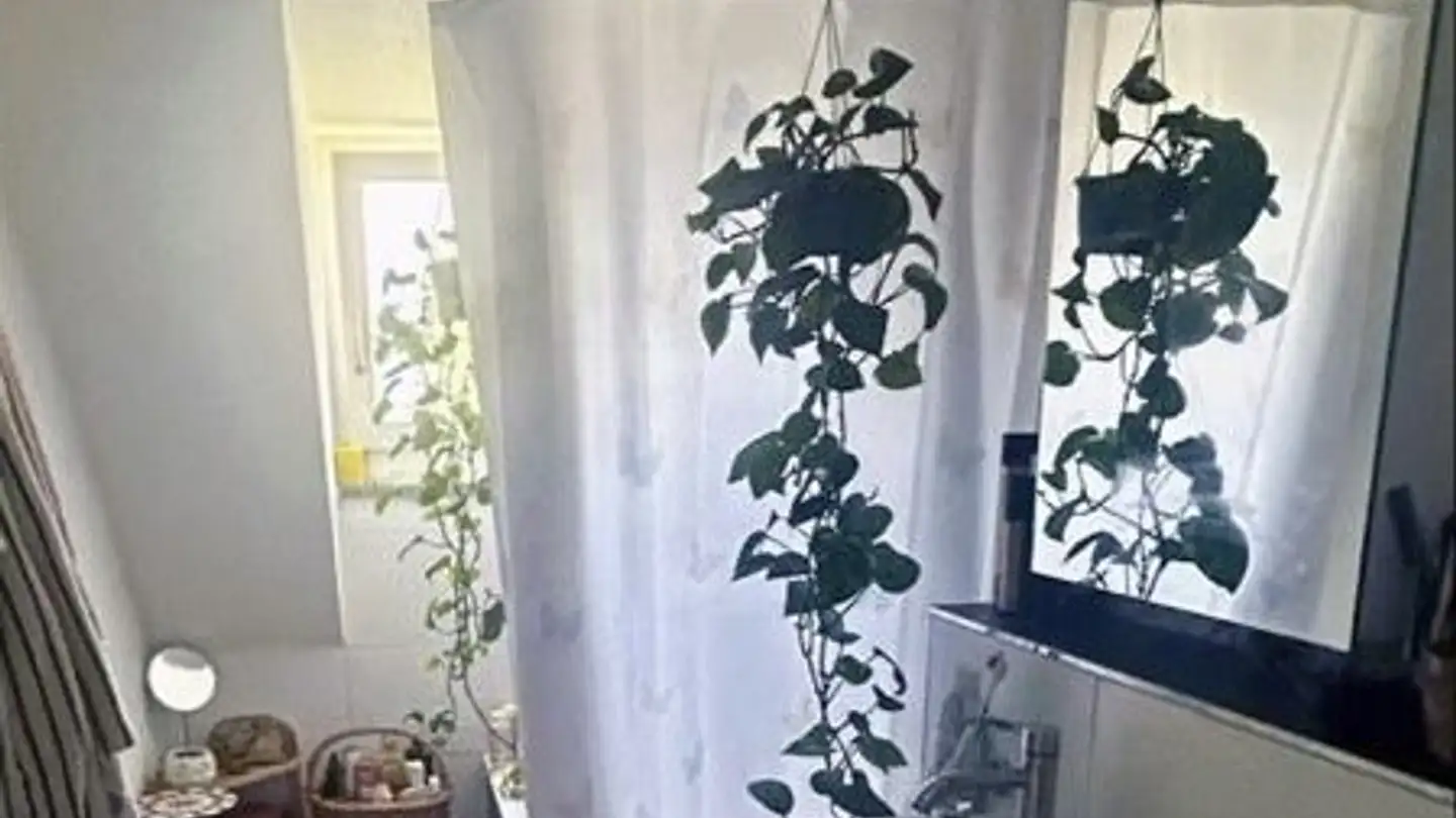 Wohnung mieten - Möhrlistrasse 90, 8006 Zürich - Foto 4