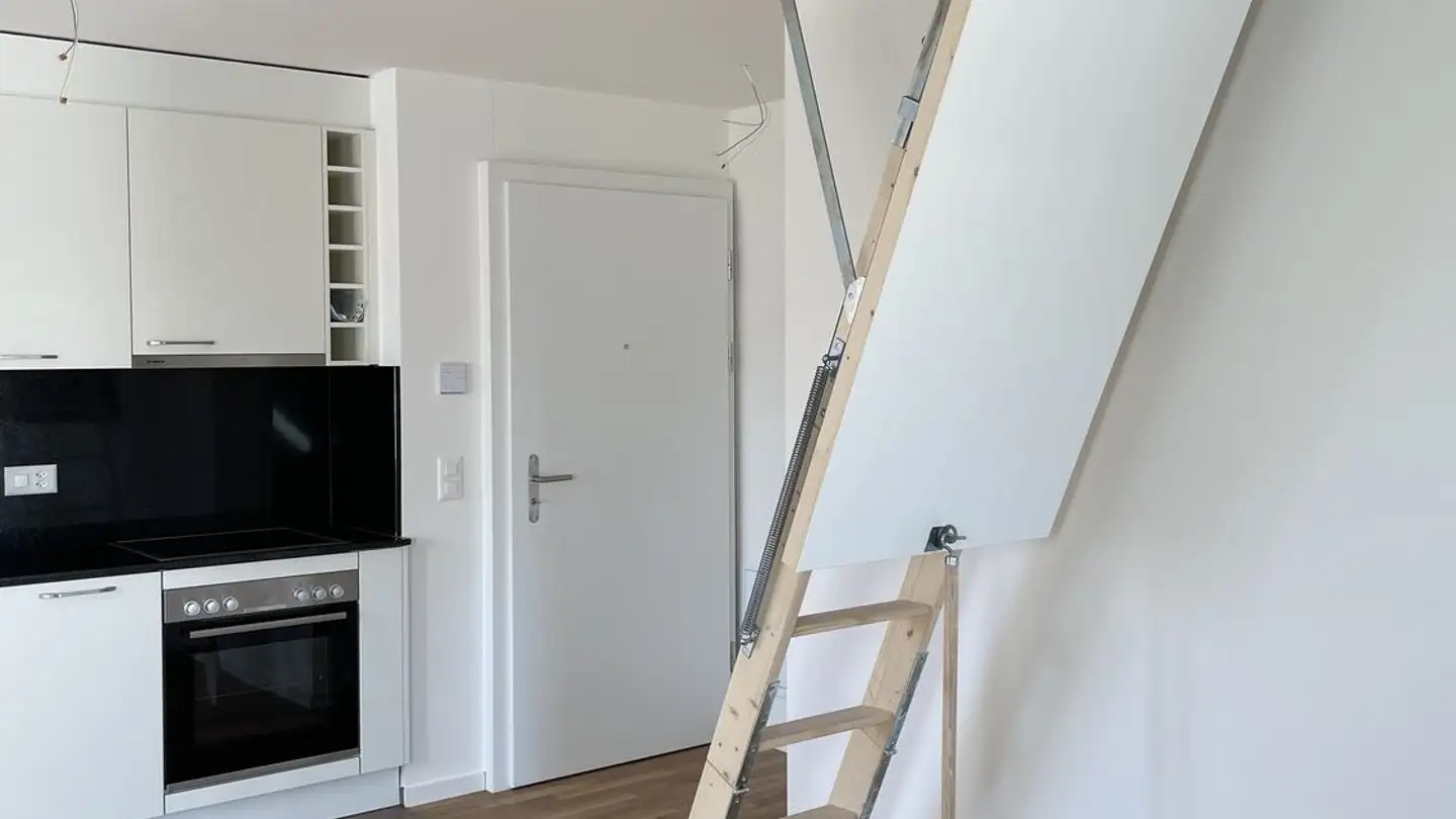 Appartement à louer - Langfurren, 8057 Zürich - Photo 4