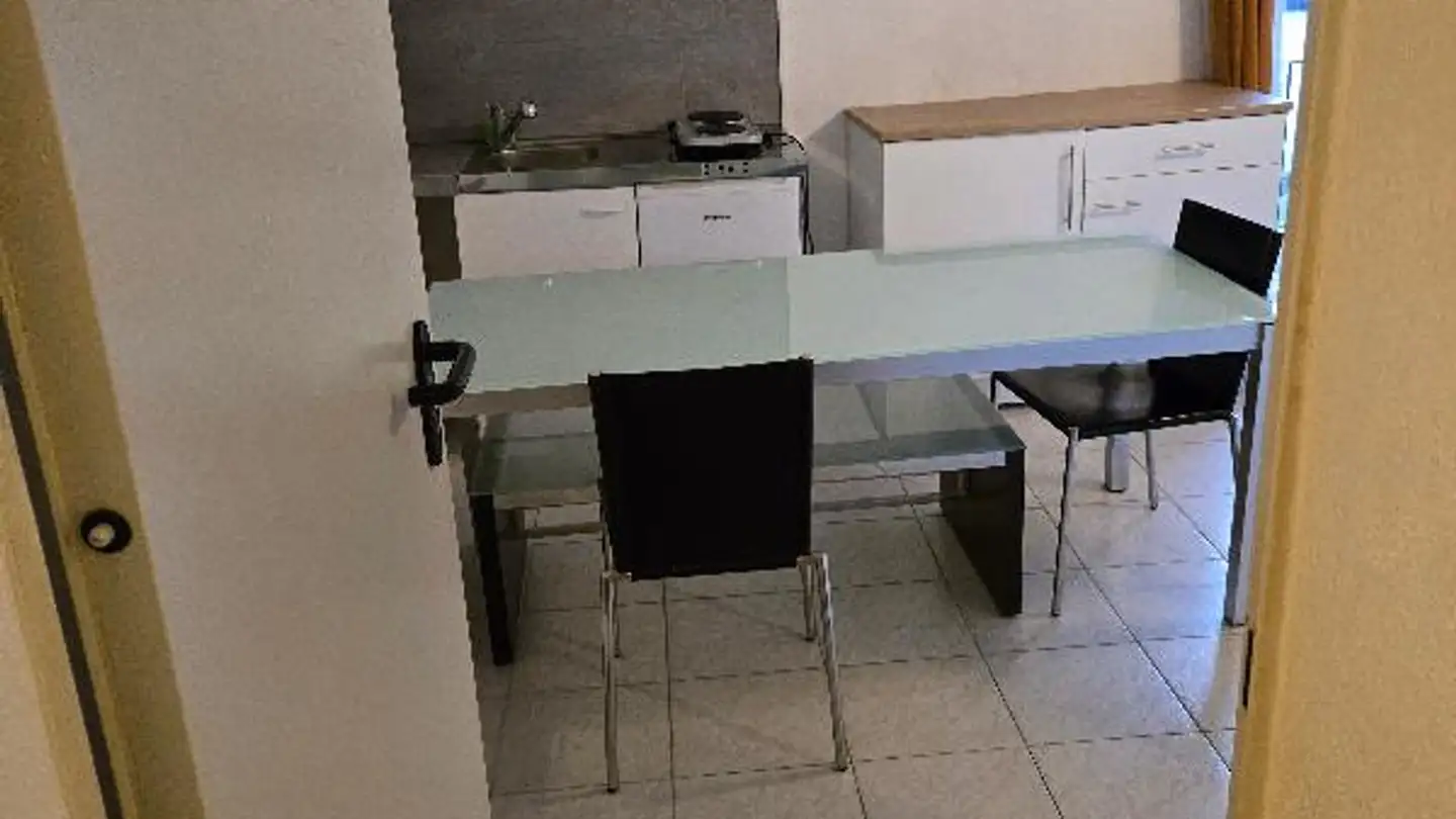 Appartamento ammobiliato in affitto - Seestrasse 117, 8266 Steckborn