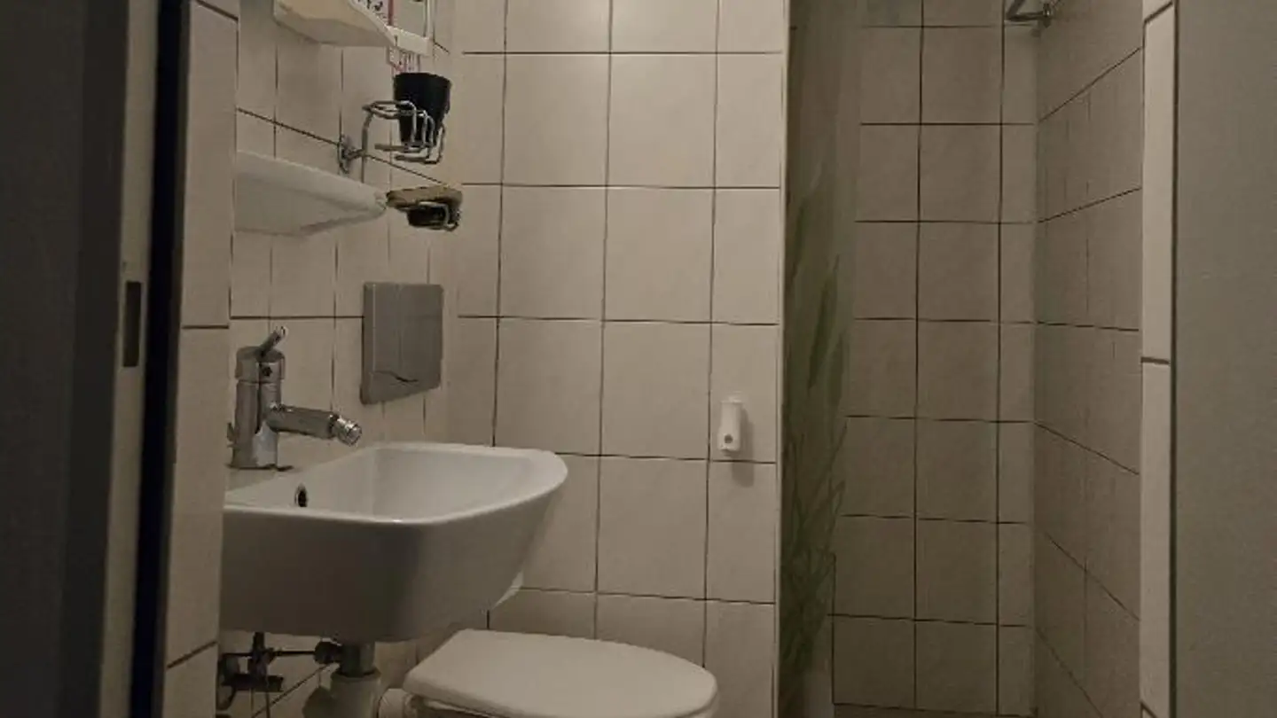 Appartamento ammobiliato in affitto - Seestrasse 117, 8266 Steckborn - Foto 4