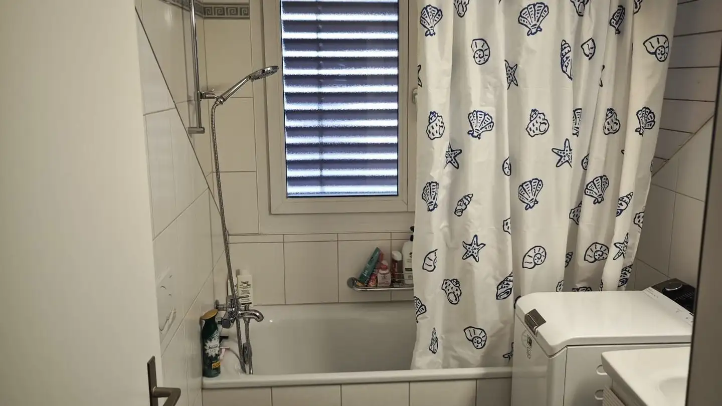 Appartamento in affitto - Widenbüelstrasse 17, 8103 Unterengstringen - Foto 4