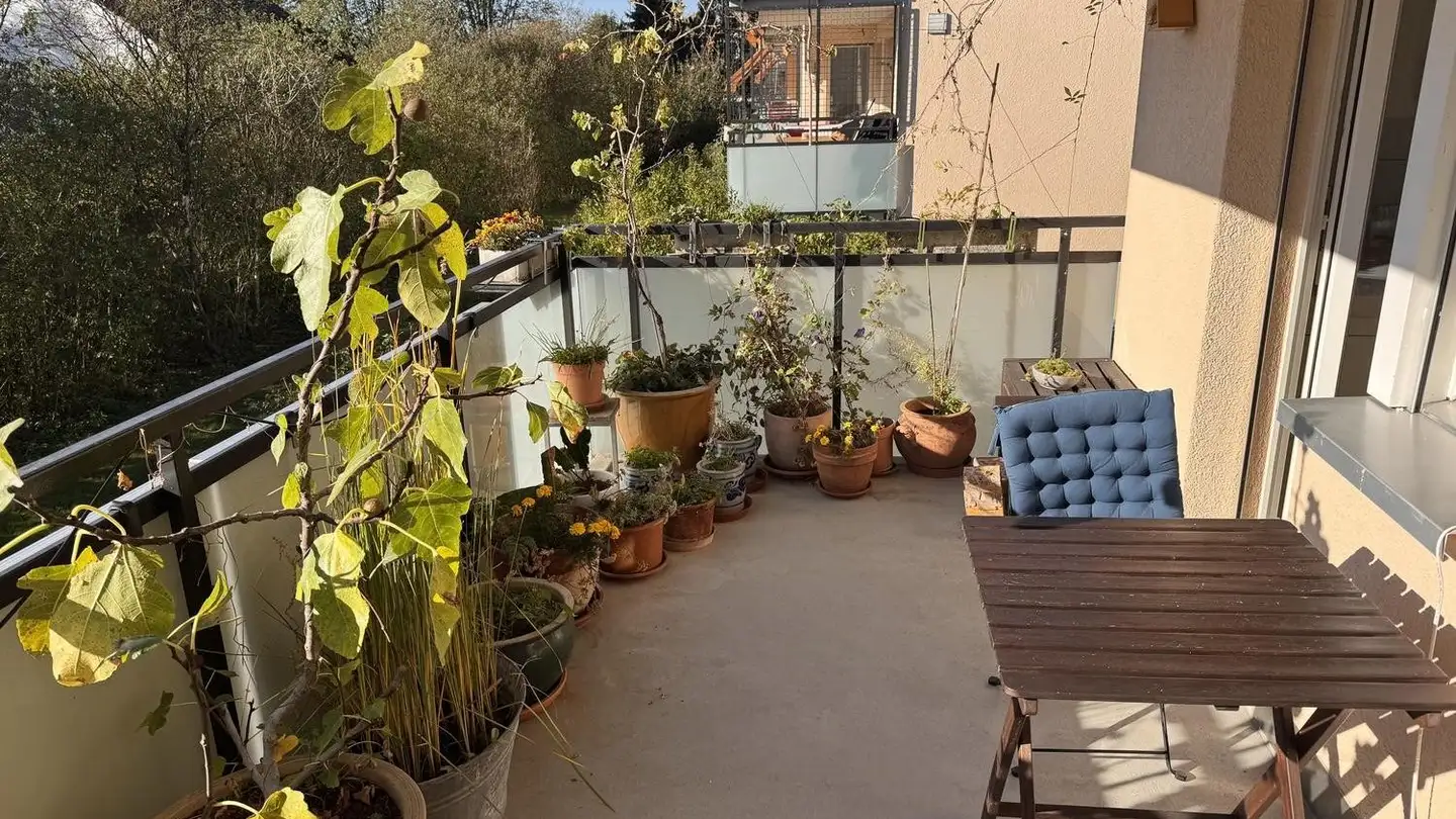 Appartamento in affitto - 4600 Olten - Foto 2
