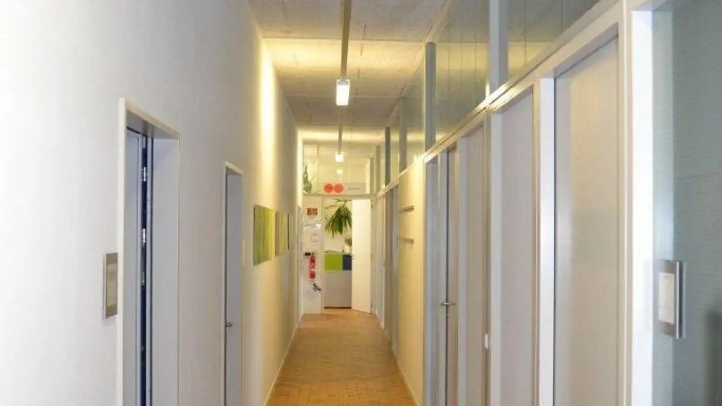 Commercial à louer - Turicaphonstrasse 29, 8616 Riedikon - Photo 2