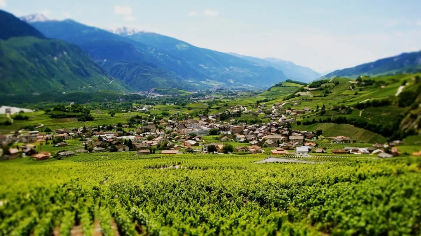 Stepped apartment for sale - Untere Zellstrasse 9, 3970 Salgesch - Photo 3