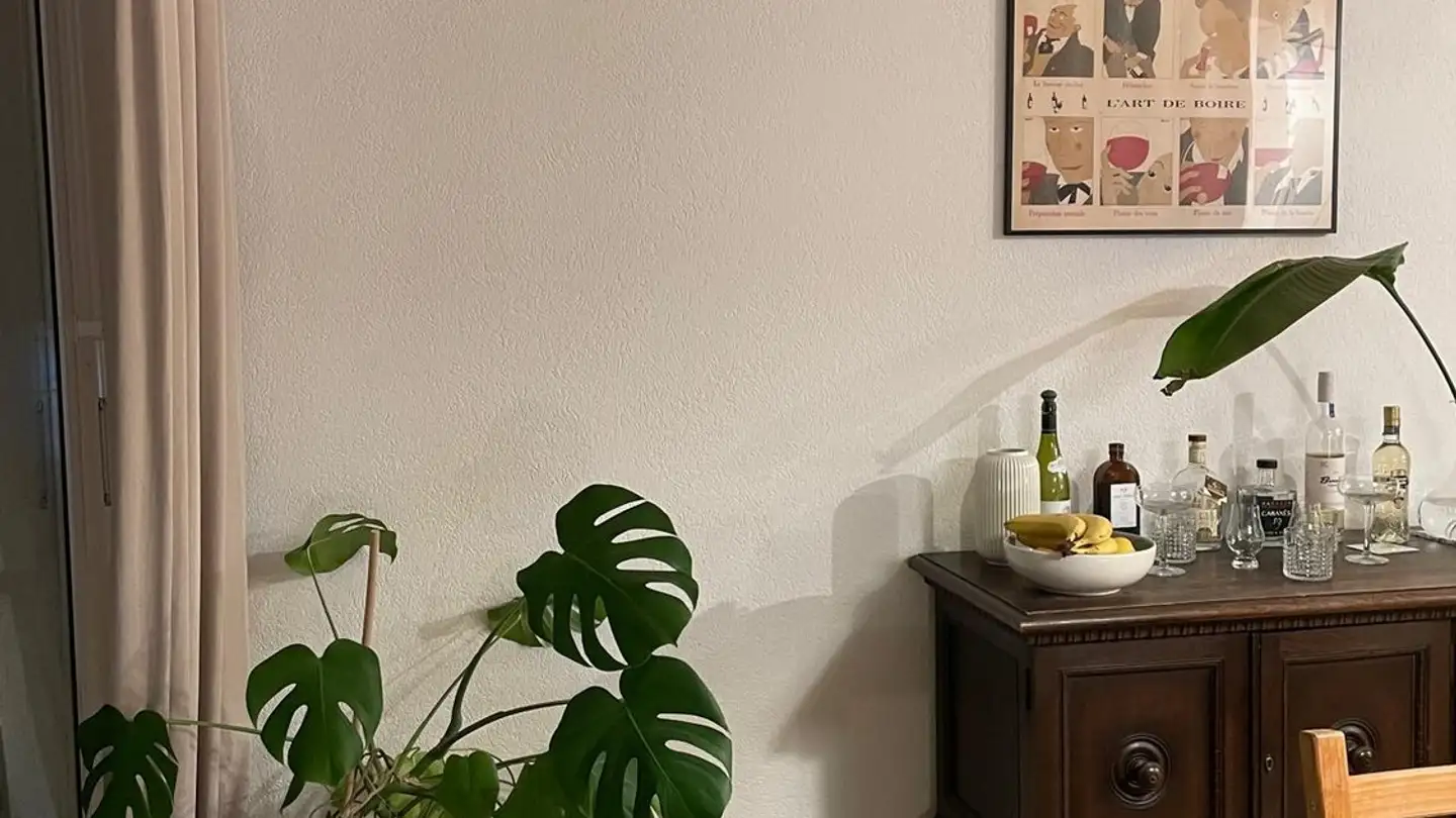 Stanza singola in affitto - 8050 Zürich - Foto 3