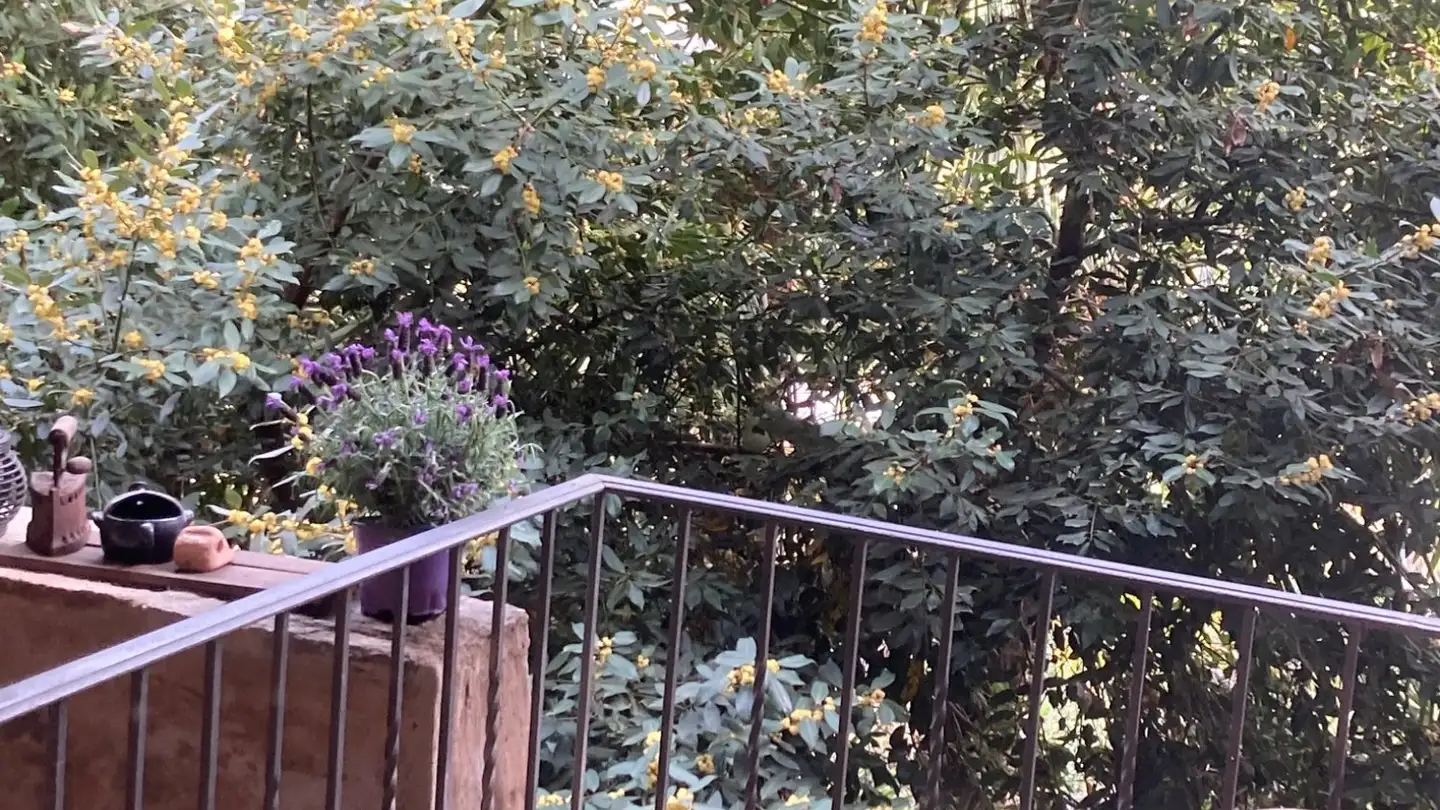 Single house for rent - Via Ai Ronchi, 6936 Cademario - Photo 4