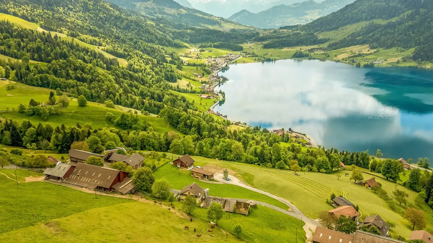 Mehrfamilienhaus kaufen - 6315 Oberägeri