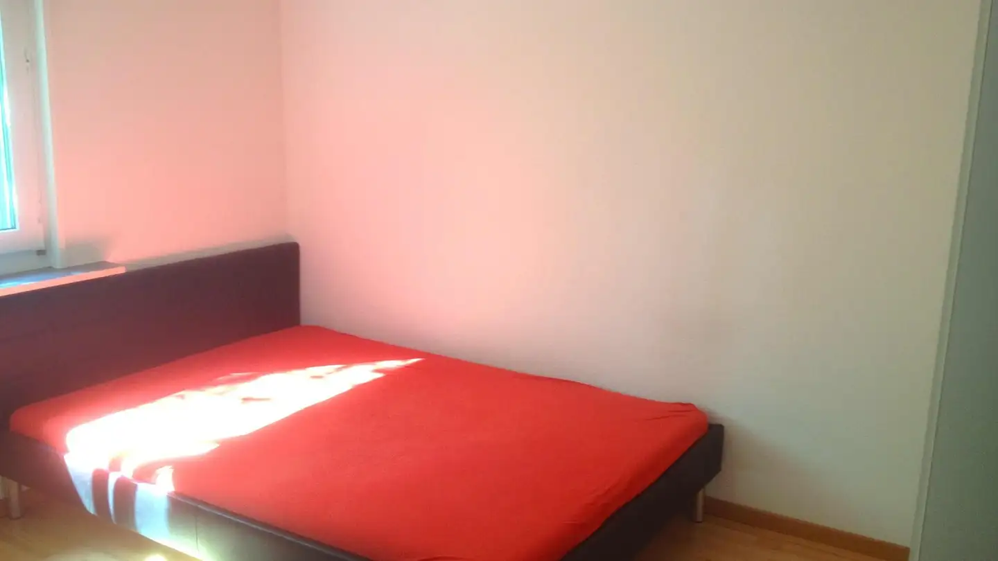 Chambre à louer - Lehenmattstrasse 248, 4052 Basel - Photo 2