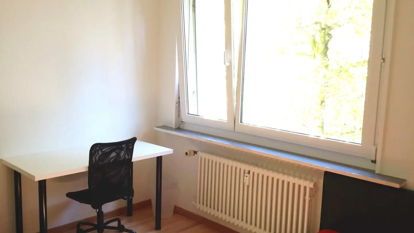 Chambre à louer - Lehenmattstrasse 248, 4052 Basel - Photo 3