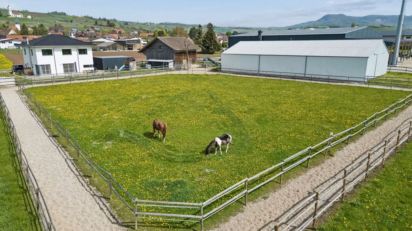 Riding hall for sale - Gewerbestrasse 19, 8215 Hallau - Photo 2