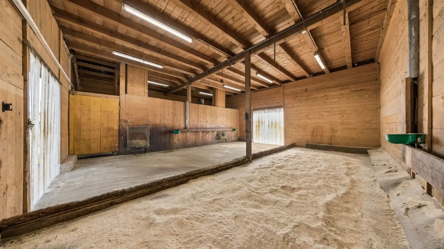 Riding hall for sale - Gewerbestrasse 19, 8215 Hallau - Photo 4