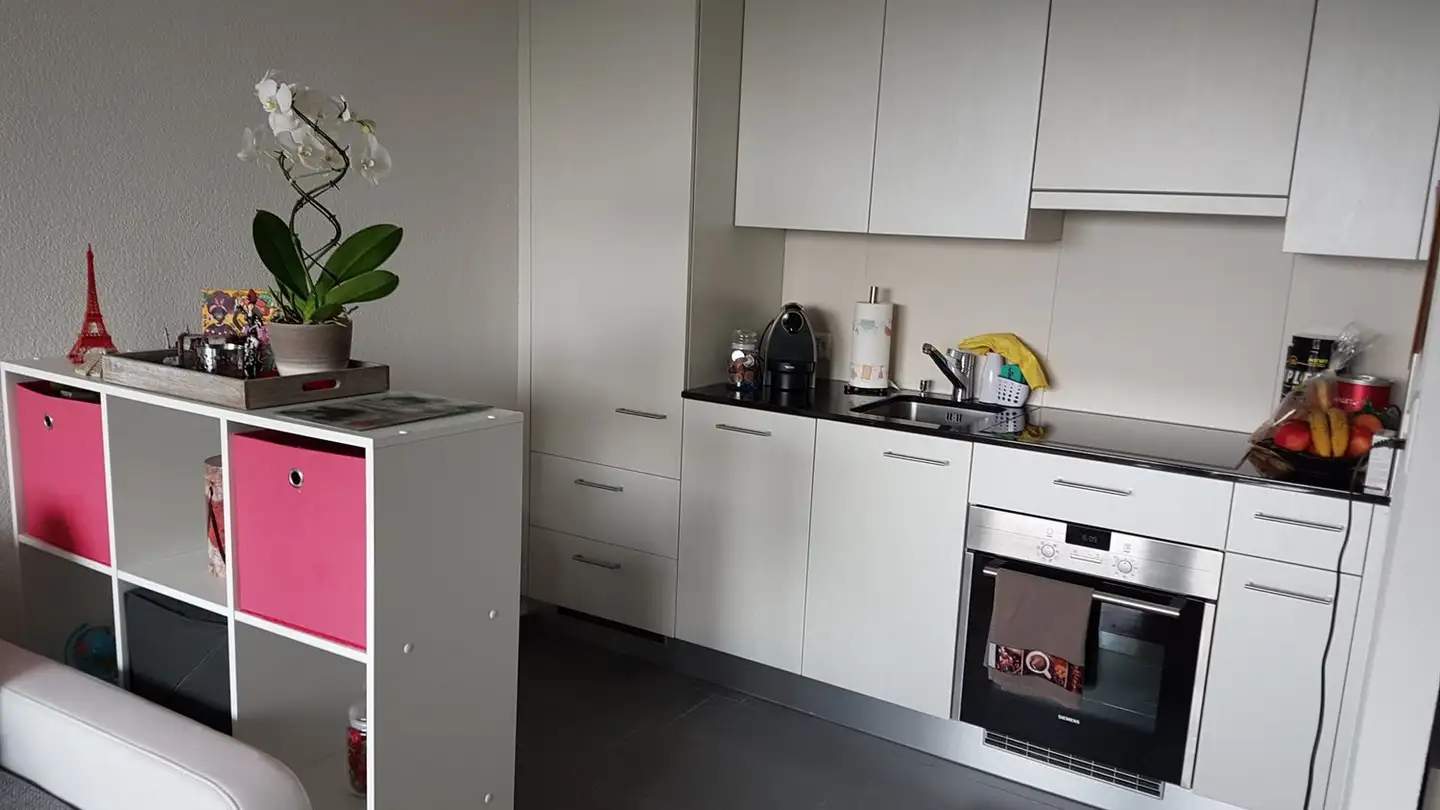 Apartment for rent - Moosstrasse 43, 9014 St. Gallen - Photo 3