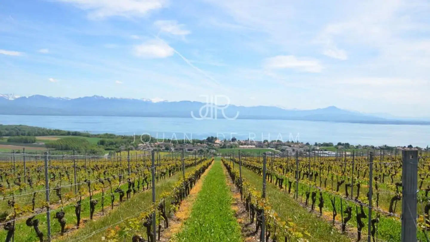 Einfamilienhaus mieten - 1296 Coppet