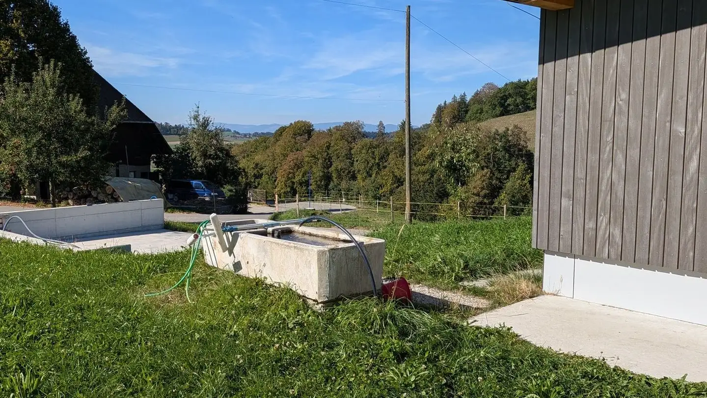 Appartamento in affitto - Gersberg 203, 4954 Wyssachen