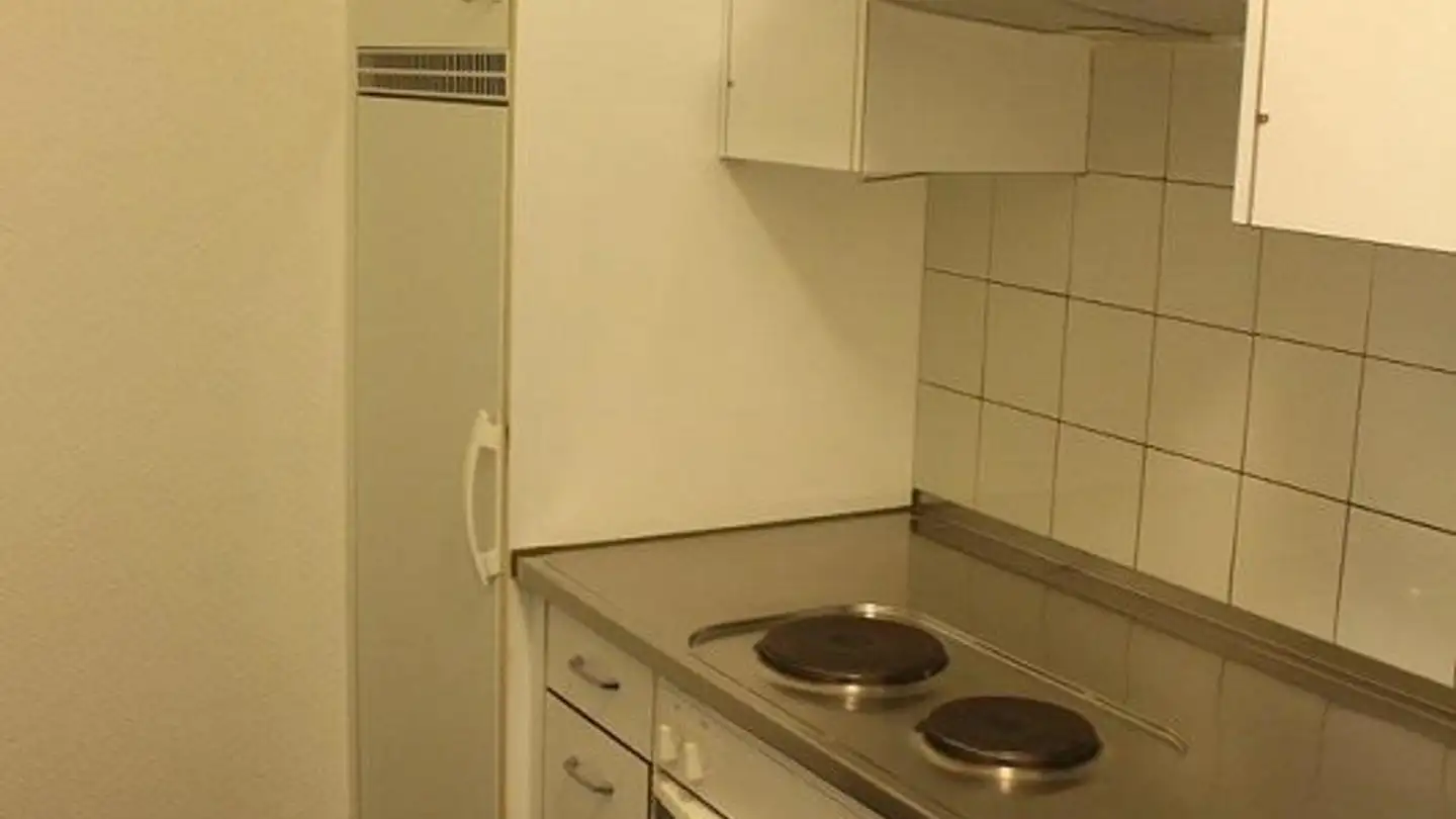 Loft for rent - Bettingerstrasse 219, 4125 Riehen - Photo 4