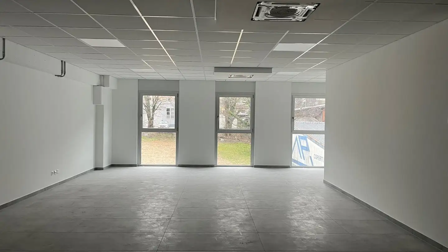 Industrieimmobilie mieten - Via Barbengo, 6917 Barbengo - Foto 4