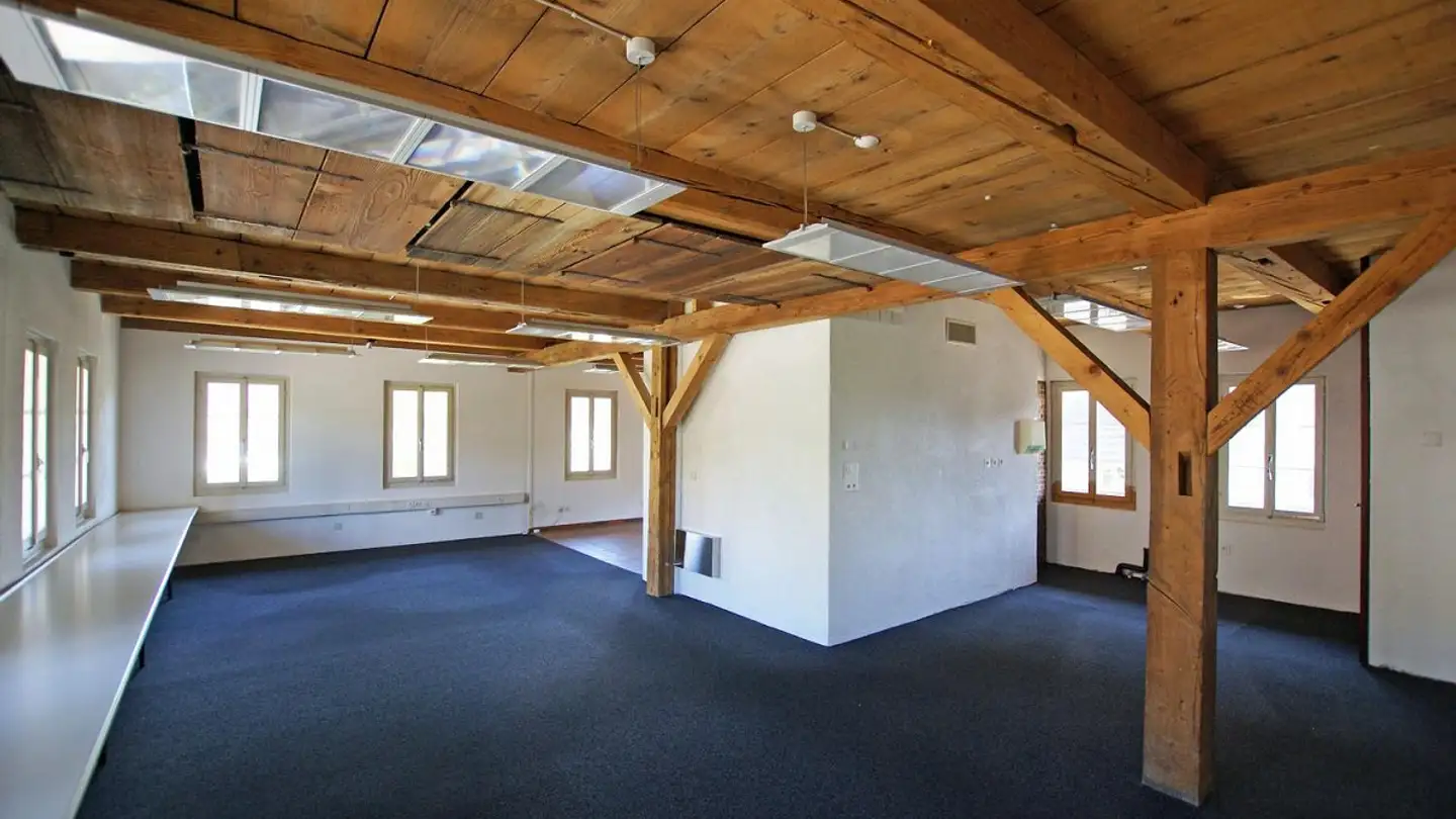 Commerciale in affitto - Rossauerstrasse 14, 8932 Mettmenstetten - Photo 4