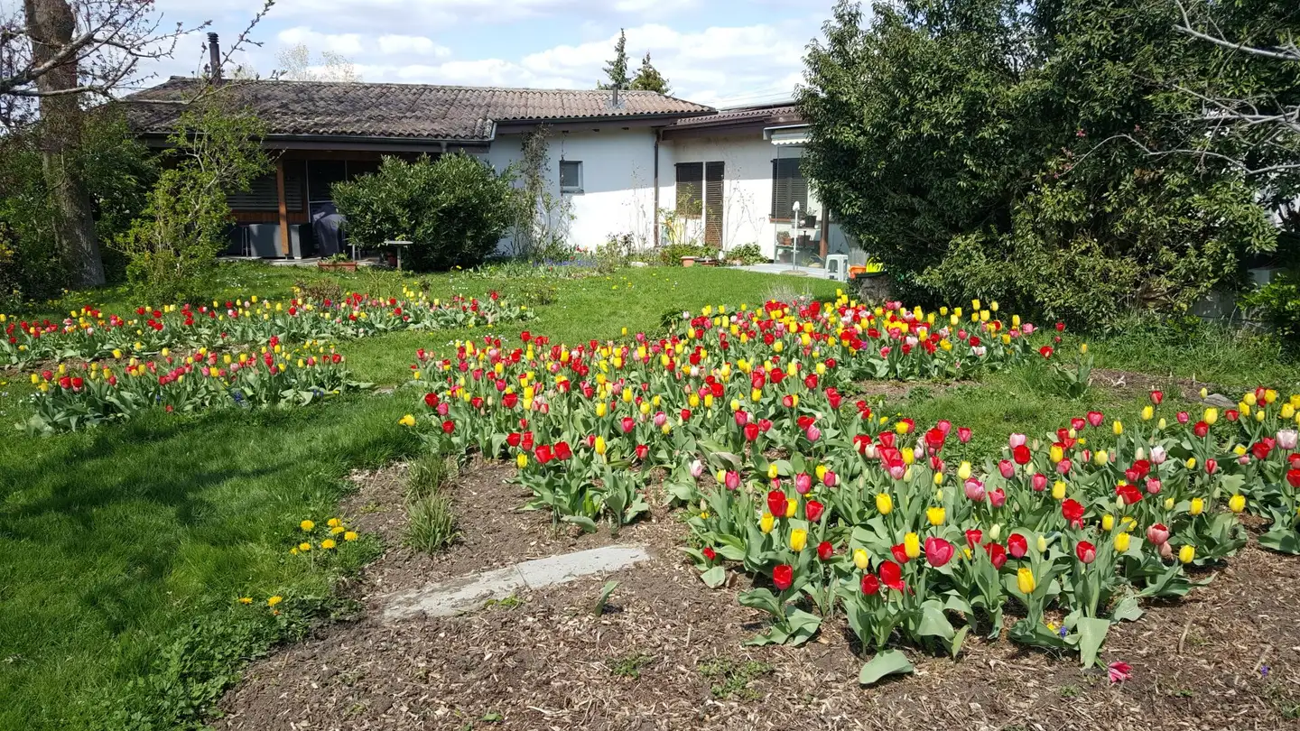 Casa singola in vendita - Bergstrasse, 5070 Frick - Photo 4