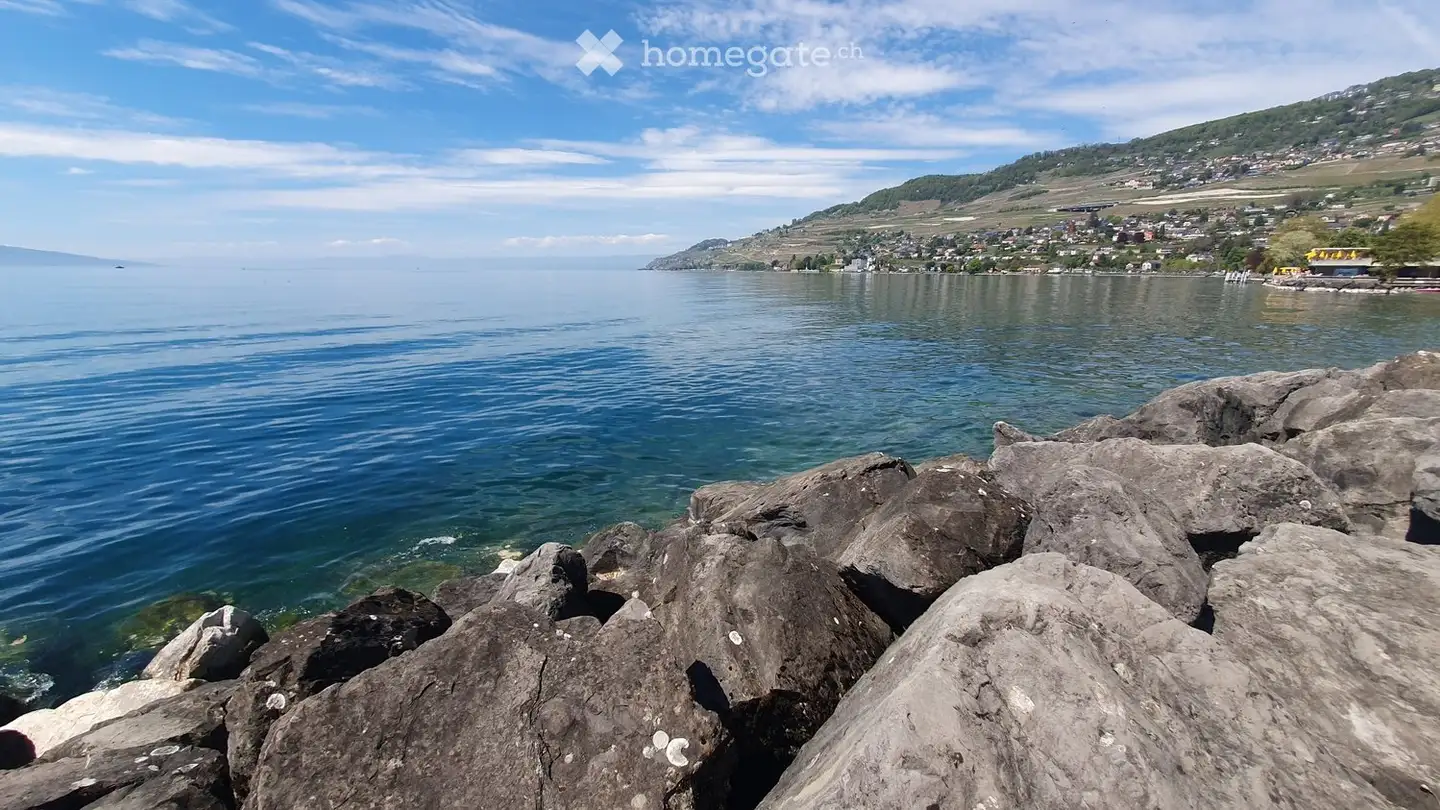 Single room for rent - 1800 Vevey
