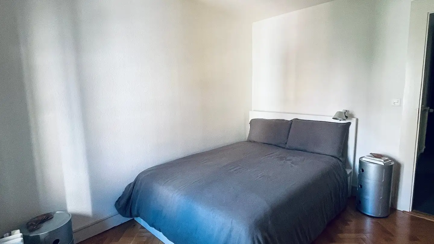 Appartamento in affitto - Rue De La Cité, 1204 Genève - Foto 2