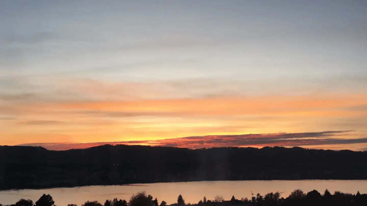 Single house for rent - 8703 Erlenbach ZH