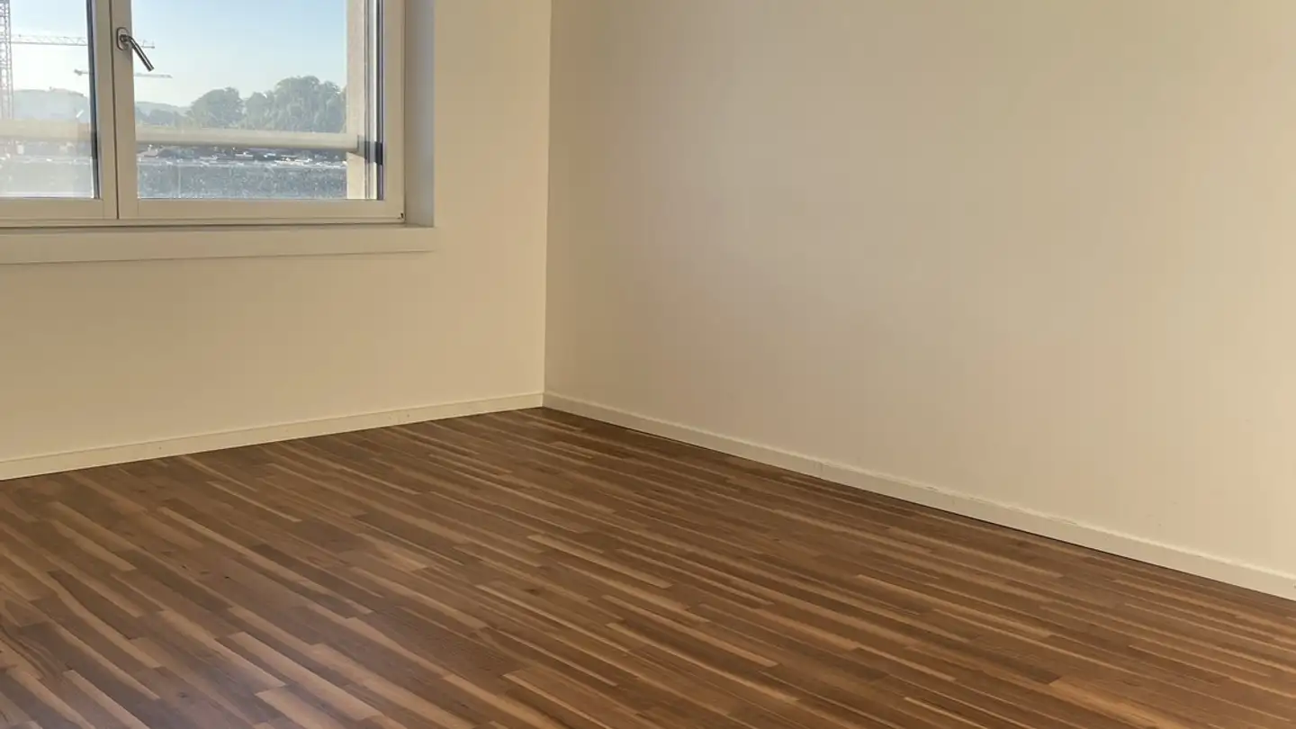 Chambre à louer - Goldschlägistrasse, 8952 Schlieren