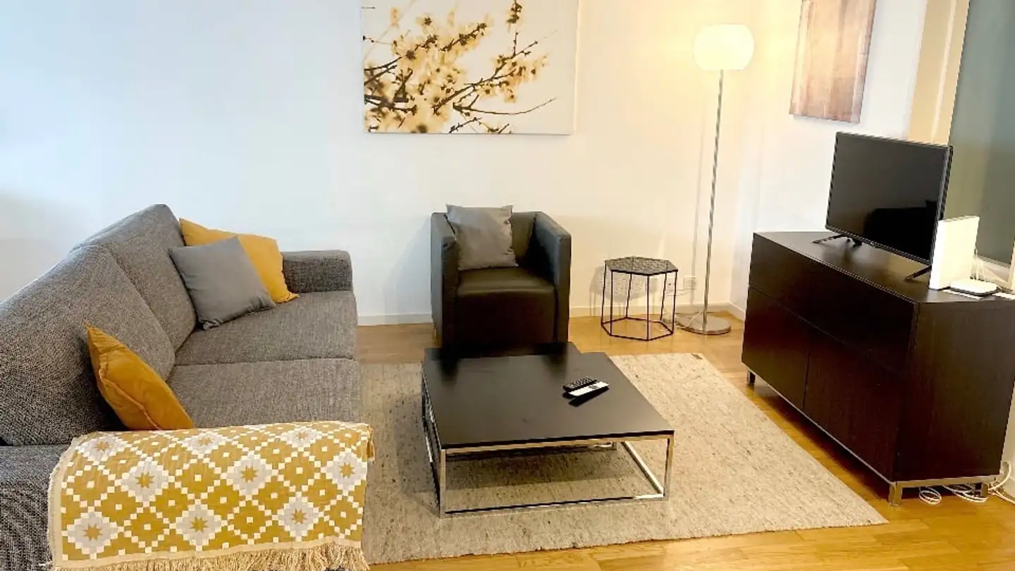 Appartement meublé à louer - Spalentorweg 37, 4051 Basel