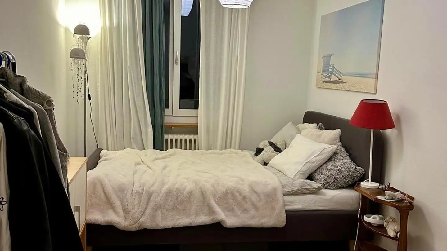 Chambre à louer - Schwamendingenstrasse 30, 8050 Zürich