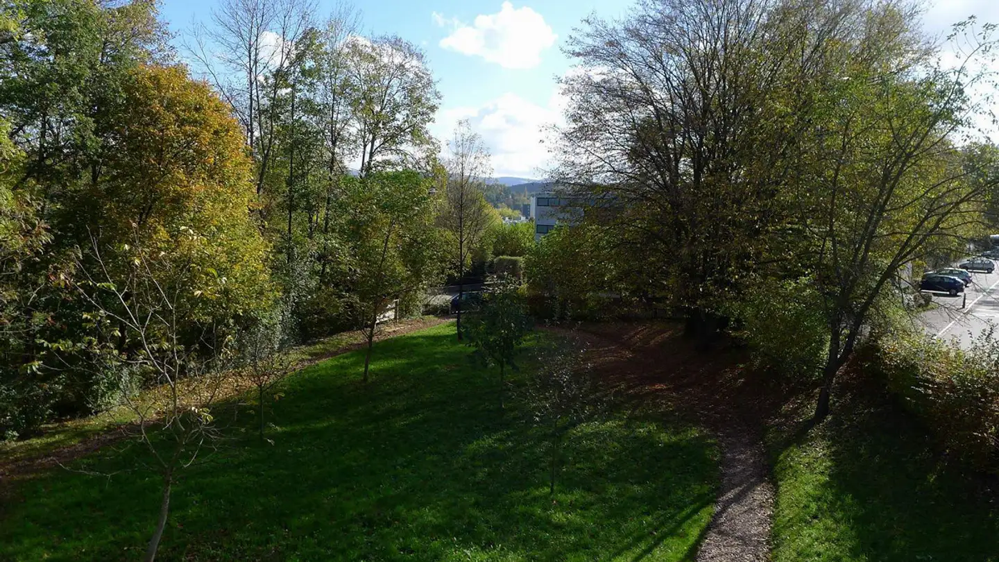 Appartamento in affitto - Benkenstrasse 47, 4102 Binningen - Foto 3