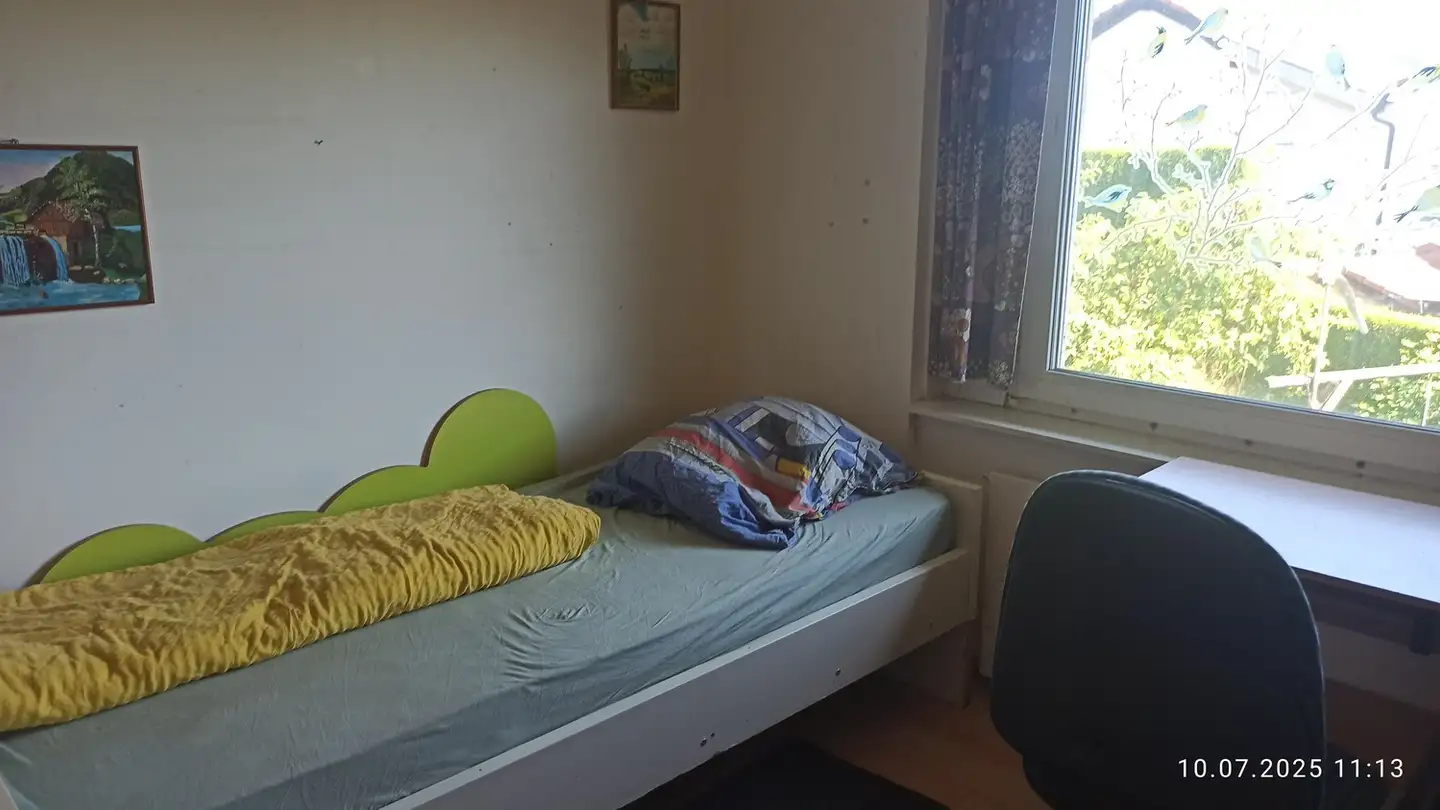 Single room for rent - Alte Bremgartenstrasse 22, 8964 Rudolfstetten - Photo 4