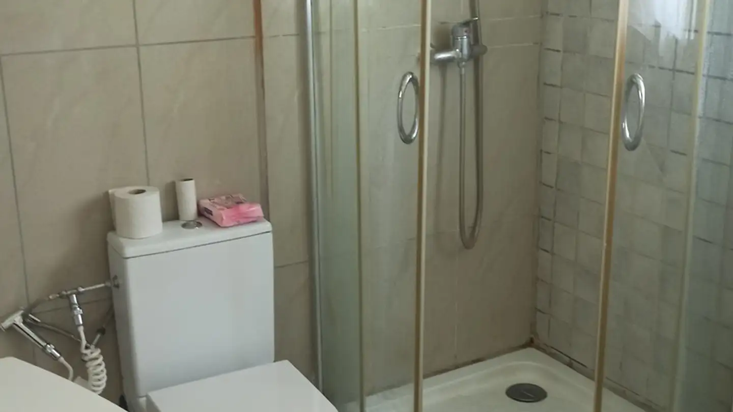 Single room for rent - Alte Bremgartenstrasse 22, 8964 Rudolfstetten - Photo 2