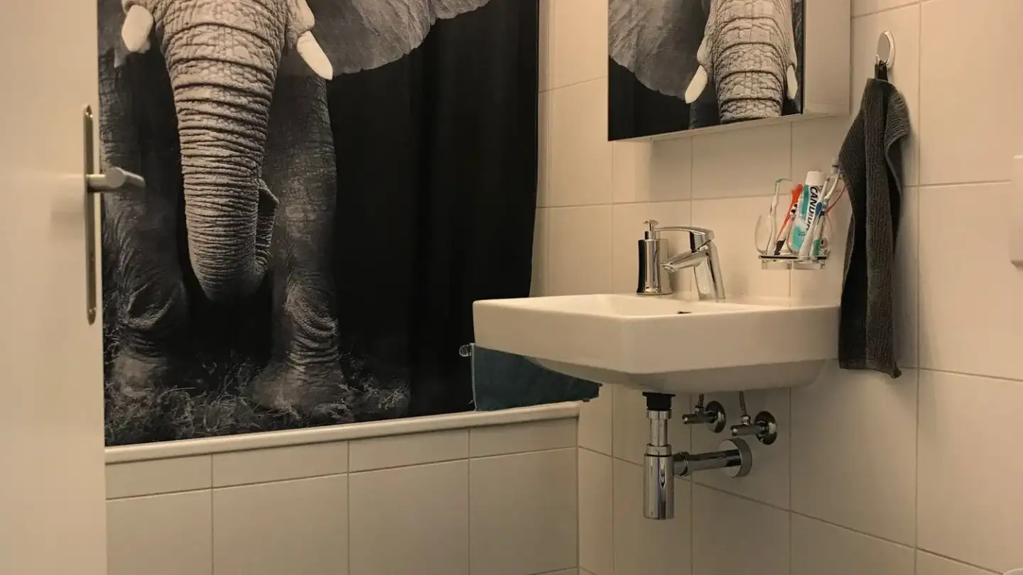 Wohnung mieten - Häberlimatteweg 55, 3052 Zollikofen - Foto 4