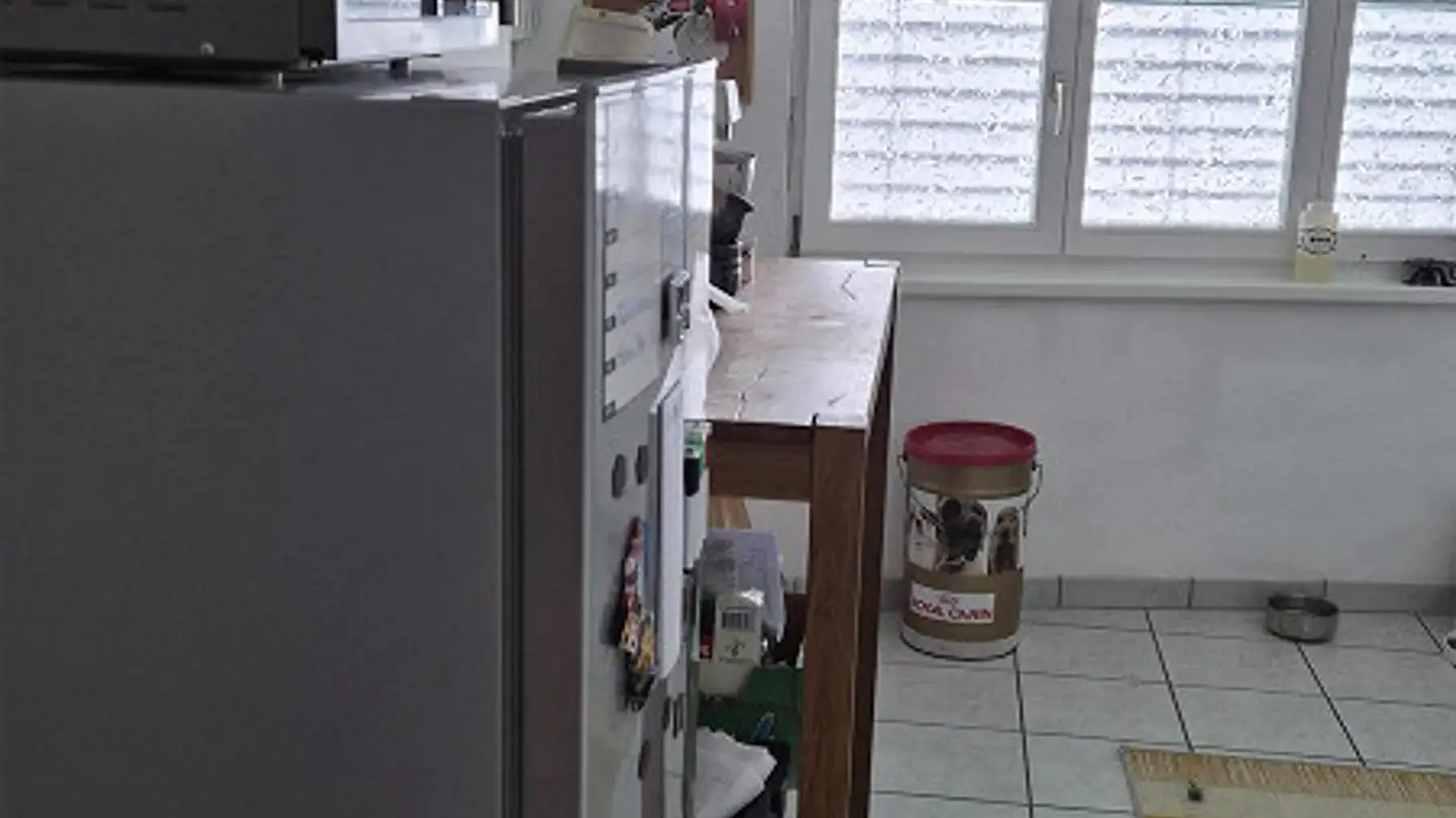 Wohnung mieten - 6017 Ruswil - Foto 4