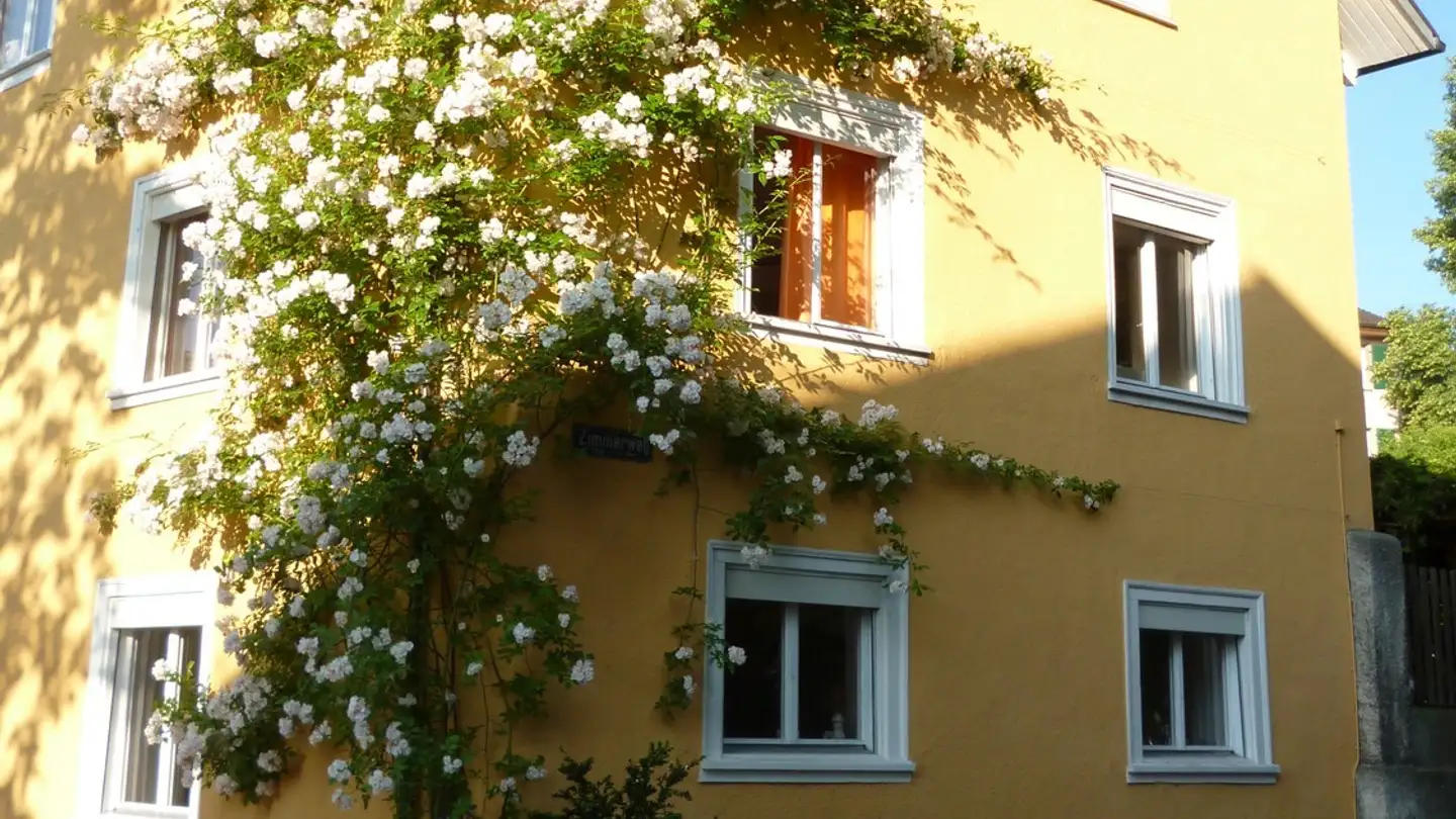 Stanza singola in affitto - Kasinogässchen 5, 8200 Schaffhausen - Photo 3