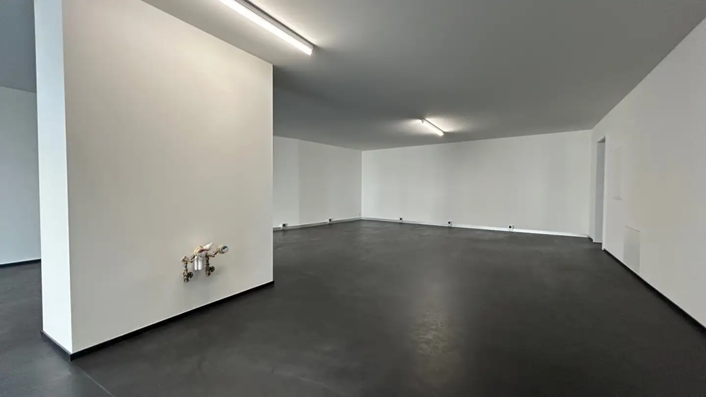 Commerciale in affitto - Hauptstrasse 35, 4147 Aesch BL - Photo 2