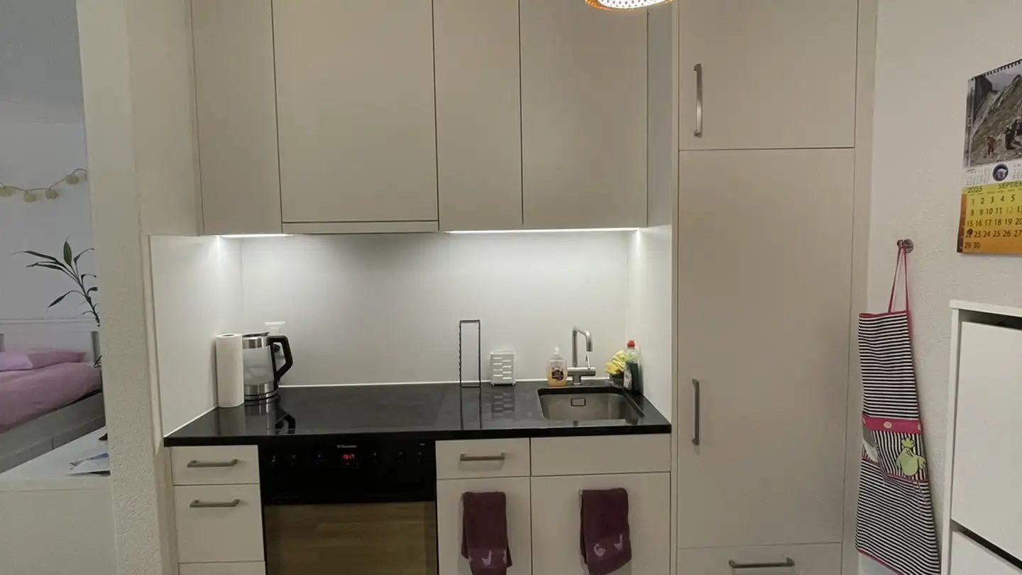 Appartamento in affitto - Brückfeldstrasse 19, 3012 Bern - Photo 2