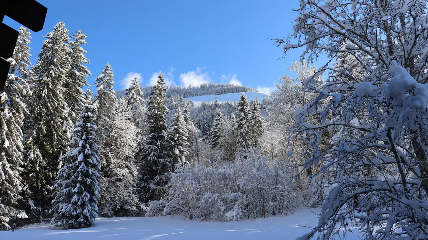 Appartement à vendre - 3755 Horboden - Photo 2