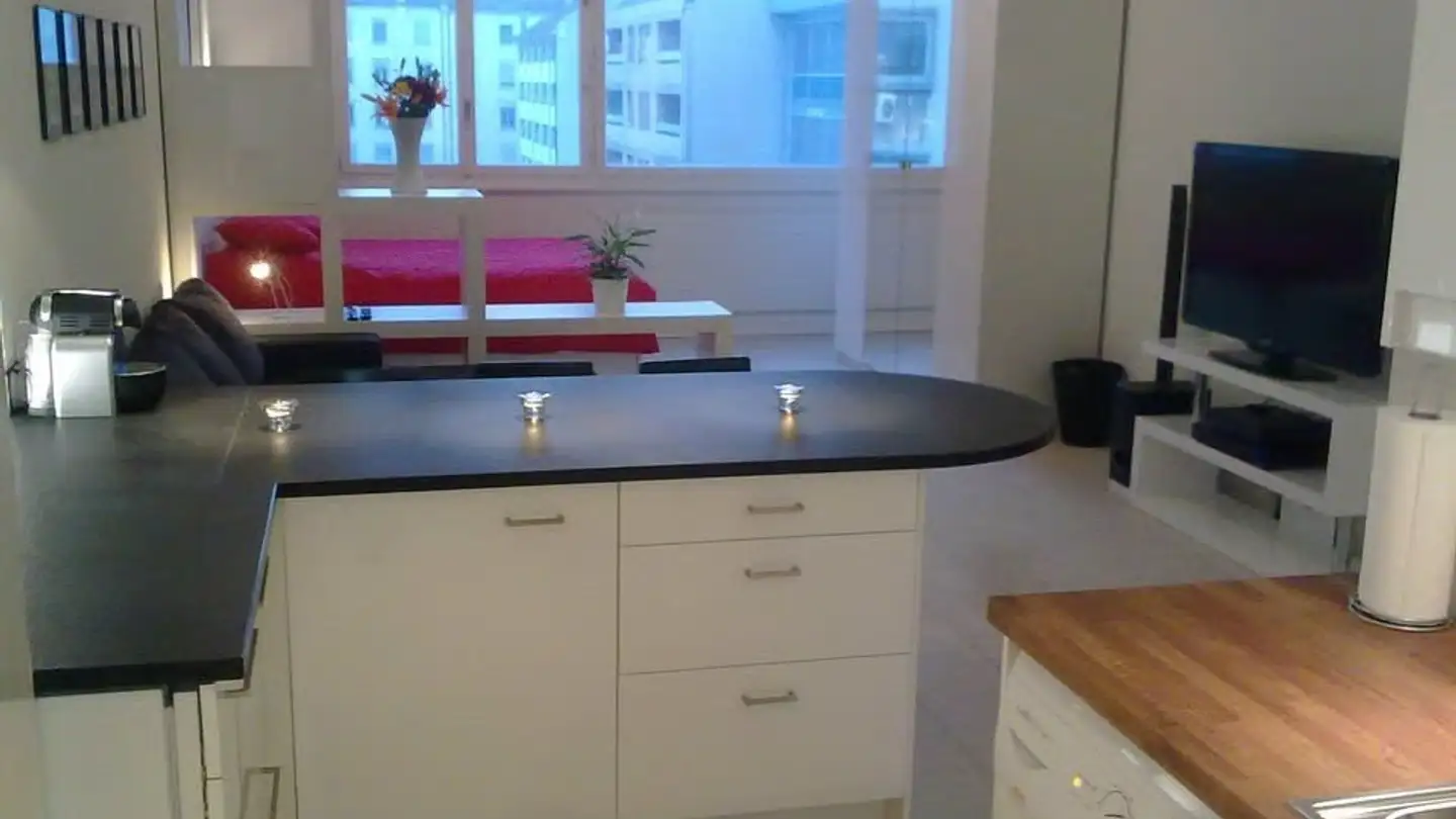 Appartamento in affitto - Rue Du Lac 14, 1207 Genève - Foto 3